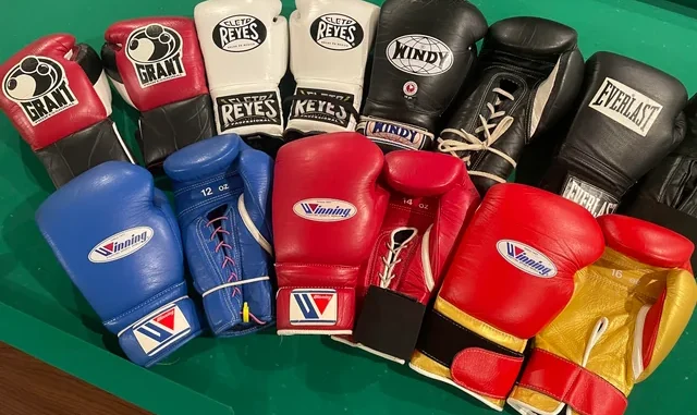 Las Mejores Marcas de Guantes de Boxeo del Mundo: La Trilogía del Élite (Winning, Cleto Reyes y Grant)